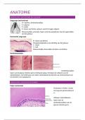 Samenvatting anatomie TKG1