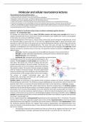 College Research MED-BMS32 Molecular and Cellular Neuroscience (MED-BMS32) 