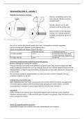 samenvatting blok A, periode 1 leerjaar 3 orthoptie