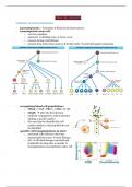 BMS72 Cancer development and immune defense notes