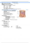 Samenvatting Pathologie: Aandoeningen van het Spijsverteringsstelsel