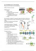 Samenvatting collegeaantekeningen 'Cel tot Molecuul' Thema 3