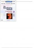 Developing Human Clinically Embryology 9th Edition by Moore Persaud - Test Bank