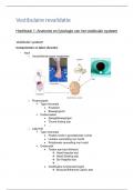 Neurological physiotherapy 3 - Vestibulaire revalidatie (L. Vereeck) - Theorie + praktijk