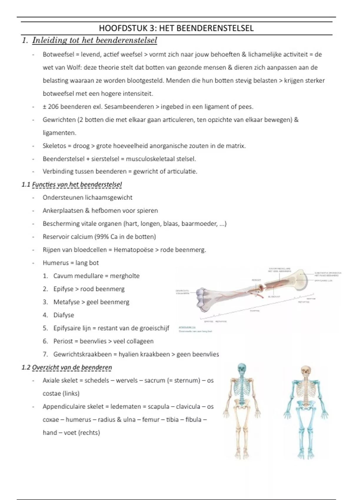 Samenvatting Anatomie Hoofdstuk 3 Het Beenderstelsel Stuvia Be