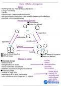 Matter and its properties: Chemistry study notes