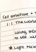 Biology Cell Structure Summary 