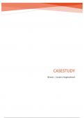 Complete casestudy BPV2 