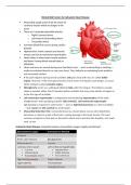 Ischaemic Heart Disease