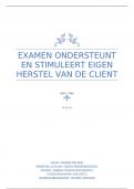 thema / examen ondersteuningsvragen initiëren 