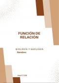 Función de relación (subrayado)