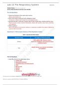 BIO 202L Lab 13 Worksheet- The Respiratory System.