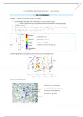 Samenvatting -  Algemene microbiologie (J000504A)