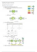 Cells and Development (CELL0007) Notes - Cell Signalling