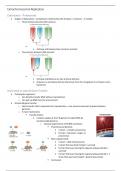 Molecular Biology for Neuroscientists (NEUR0006) Notes