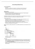 Auditing Theory Nyenrode Samenvatting (beste)