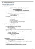 Cellular Neurophysiology (NEUR0007) Notes - Neuronal Calcium Signalling