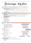 RESUMEN HEMORRAGIA SISTEMA DIGESTIVO, SÍNDROMES PILÓRICOS, ÍLEO Y SÍNDROMES ESOFÁGICOS