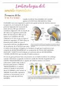 RESUMEN EMBRIOLOGIA DEL APARATO RESPIRATORIO.