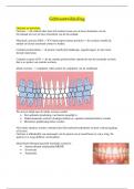 Samenvatting Gebitsontwikkeling bij de mens -  Gebitsontwikkeling, Occlusie en Articulatie (MHVP1CLL3B)