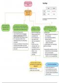 Samenvatting -  Wijsgerige pedagogiek - mindmap Pascal