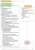 Samenvatting -  Wijsgerige pedagogiek - mindmap Rousseau