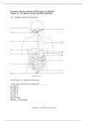 Test Bank of Chapter 14 The Digestive System and Body Metabolism I Essentials of Human Anatomy and Physiology 11e (Marieb)