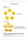 Samenvatting Inleiding Methodeleer