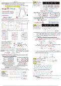 CHM 116 - General Chemistry II Exam 3 Notes