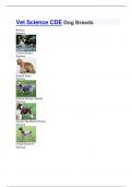 Vet Science CDE Dog Breeds  100% CORRECT ANSWERS