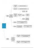 Samenvatting in 36 mindmaps van alle tentamenleerstof uit OKO kwalitatief onderzoek (ualitative Research Practice -  PB1612 OPO kwalitatief onderzoek (PB1612)