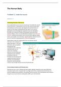 Samenvatting The Human Body -  Probleem 3