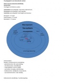 Pedagogiek in interculturele context