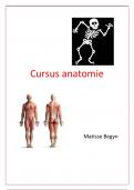 Samenvatting -  Anatomie