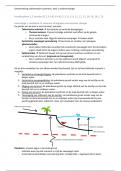 Samenvatting sedimentaire systemen, deel 1 sedimentologie