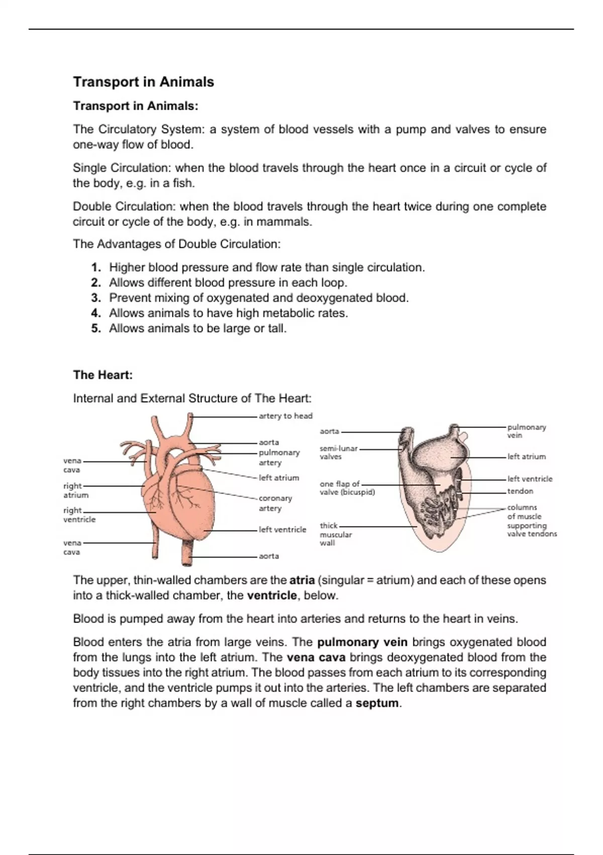 Summary IGCSE/GCSE Biology - Topic 09 Transport in Animals - Biology ...