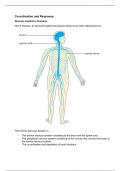 IGCSE/GCSE Biology - 14 Coordination and Response