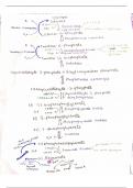 Biochemistry cycles 