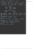 CPS213 Notes - Design on Sequential circuits 