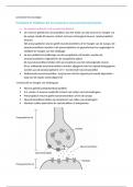 samenvatting Farmacologie 2 