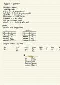 SPAN 1020 Preterite Tense Notes