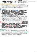 Nerves of the Upper Extremities (Major and Minor Nerves, Dermatomes, and Sensory Fields)