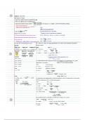 Chapter 10 All Gas Laws and Ideal Gases