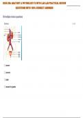 BIOS-256: ANATOMY & PHYSIOLOGY IV WITH LAB LAB PRACTICAL REVIEW QUESTIONS WITH 100% CORRECT ANSWERS