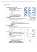 Samenvatting - Practicum: biotechnologie en biochemie, pDNA (J000496A)