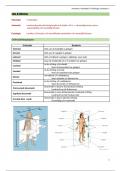 Anatomie, histologie & fysiologie: ML2