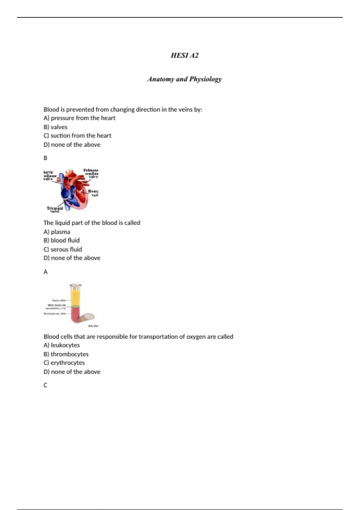 Hesi A2 Anatomy And Physiology 2024 Version Questions With Answers