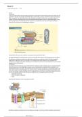 Samenvatting -  MIC21T (MIC21T)