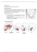 Pathologie en behandeling TMG 