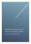 Bovenste extremiteit en cervicothoracale regio: theorie BL en CTO